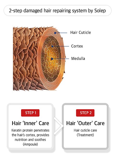 solep 2 step extremely damaged hair treatment system