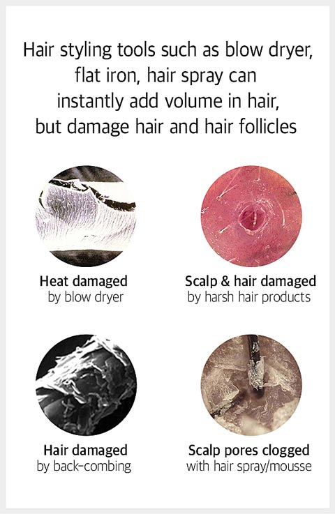 Damaged hair by the styleing tools