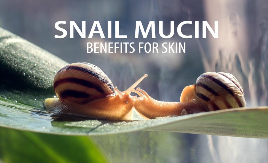 Snail mucin benefits for skin