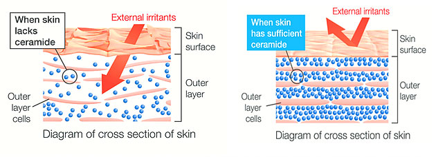 влияние внешней среды на кожу и керамиды