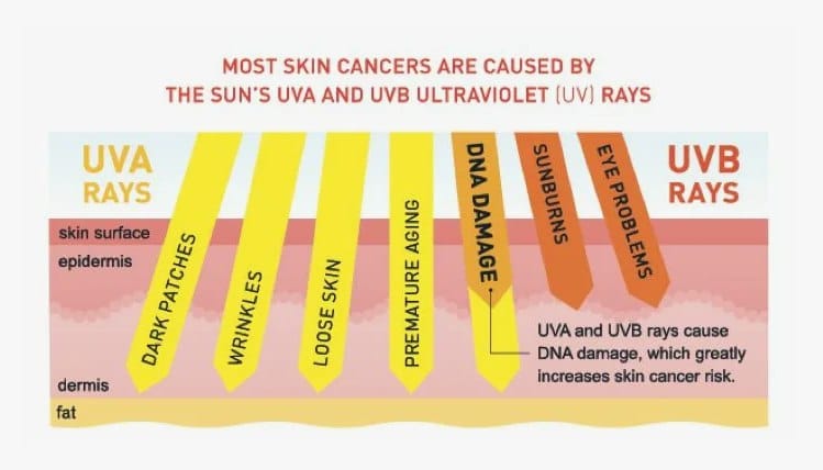 sunscreen2