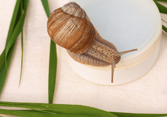 Snail Mucin